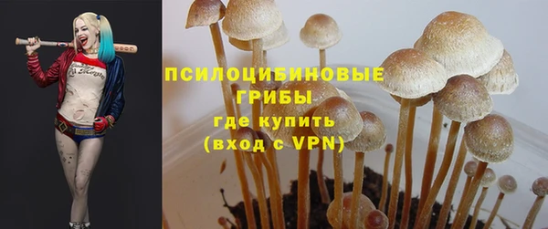 mdpv Алексин