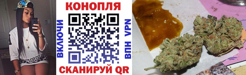 Бошки марихуана Bruce Banner  площадка клад  Болхов 